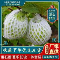 △✇ Guava bag mesh insect-proof special integrated foam packaging pomegranate fruit