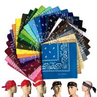 【CW】 Bandana kerchief Hip Hop Hair Band Neck Scarf Headwear Wrist Scarves Print Handkerchief