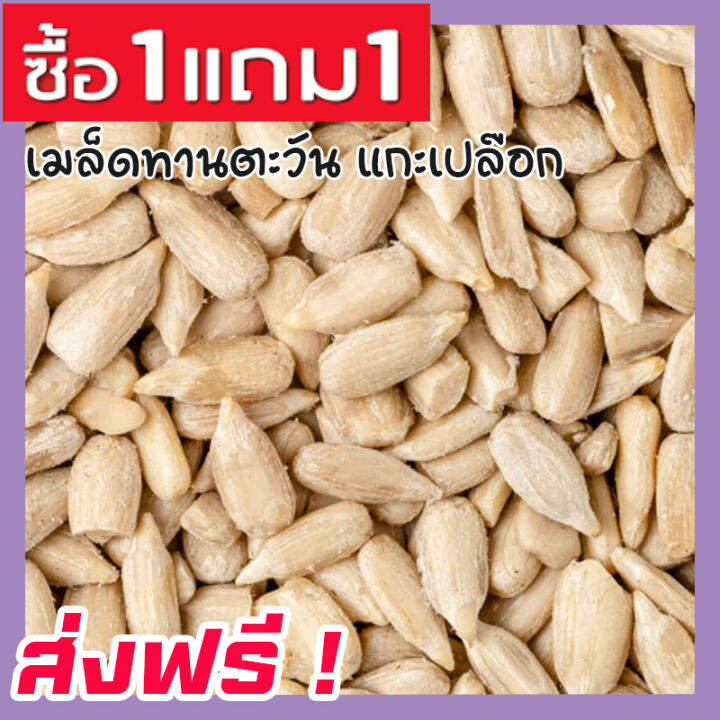 ส่งฟรี-ซื้อ-1-ฟรี-1-เมล็ดทานตะวันแกะเปลือก-sunflower-seeds-roasted-unsalted-ขนาด-500กรัม-ฟรี-100กรัม-เม็ดทานตะวัน-ทานตะวันอบ-ขนมกินเล่นถูกๆ-ขนมกินเล่น-อาหารพร้อมทาน-ขนมที่ดังใน-tiktok-ขนมถูกๆส่งฟรี-ธั