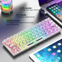 แป้นพิมพ์เชิงกลสำหรับเล่นเกมไร้สายบลูทูธ Tri-Mode เคสโปร่งใส RGB ที่กำหนดเอง