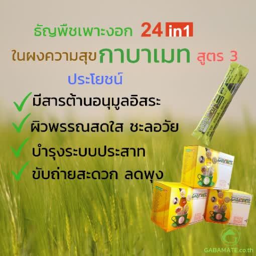 เซ็ต-3-กล่อง-กาบาเมท-สูตร-3-gaba-mate-กาบา-เครื่องดื่มธัญญพืช-ข้าวกล้องงอก-ข้าวฟ่างเพาะงอก-ข้าวโพด-ถั่วเพาะงอก-งาเพาะงอก-แฟล็กซีดเพาะงอก