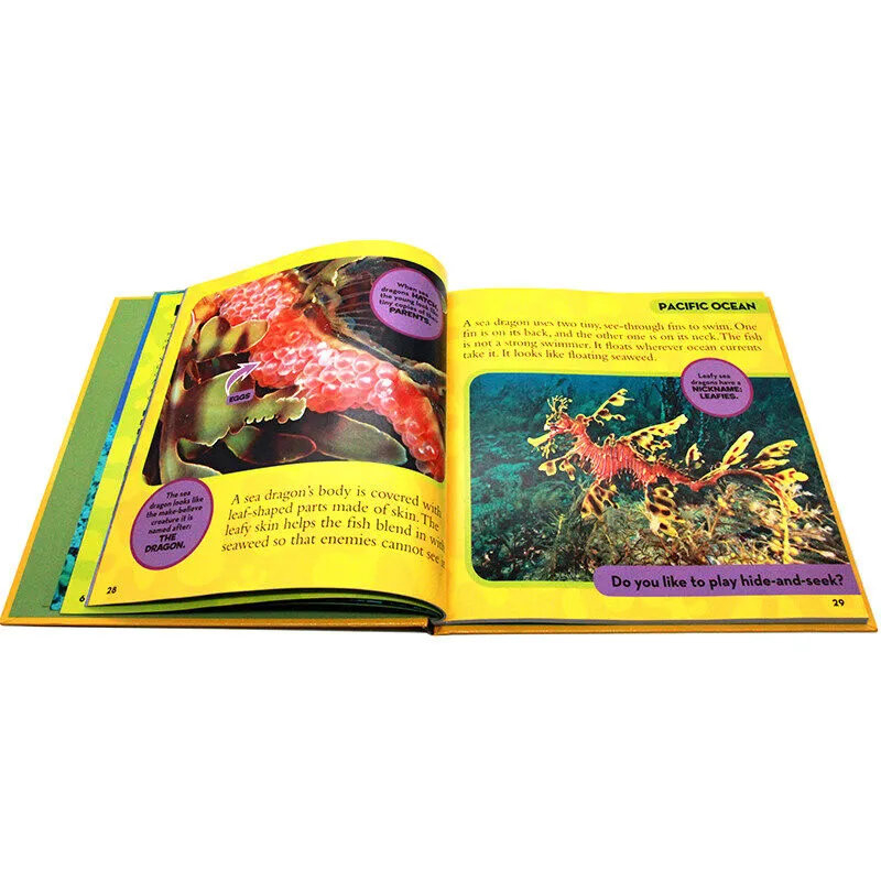 National Geographic Little Kids First Big Book of the Ocean - (National  Geographic Little Kids First Big Books) by Catherine D Hughes (Hardcover)