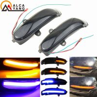 For Mercedes Benz C Class W203 S203 CL203 2001-2007 Dynamic Turn Signal LED Side Mirror Indicator Blinker Sequential Light