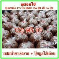 พร้อมใช้ ตุ้มตอนกิ่ง 3*5 นิ้ว พิเศษ 100 ตุ้ม ฟรี 10 ตุ้ม ผสมน้ำยาเร่งราก*** ## ของขวัญ อุปกรณ์ตกแต่งสวน ตกแต่งบ้าน เครื่องมือ จัดสวน