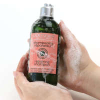 LOccitane Intensive Repair Shampoo 300 ml. แชมพู