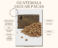 พร้อมส่ง เมล็ดกาแฟดิบ Guatemala Jaguar Pacas 96hrs Anaerobic Natural Process/ เมล็ดกาแฟนอก/ เมล็ดกาแฟสารกัวเตมาลา