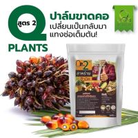 QPlants สูตร 2 สาหร่ายฮิวมิค ใส่ปาล์มให้ผลผลิตเพิ่มลูกดก ทลายใหญ่ ได้ผล จัดส่งไว สินค้าขายดี