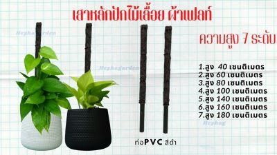 เสาหลักสำหรับปักต้นไม้เลื้อย ไม้เกาะผ้าเฟลท์ Flora feltท่อ PVCสีดำ 4หุน(1/2นิ้ว)