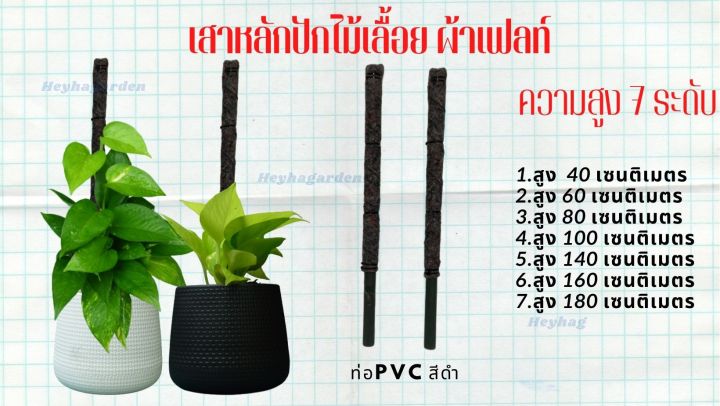 เสาหลักสำหรับปักต้นไม้เลื้อย-ไม้เกาะผ้าเฟลท์-flora-feltท่อ-pvcสีดำ-4หุน-1-2นิ้ว