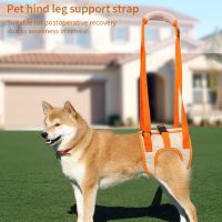 Adjustable Dog Sling Back Legs Hip Support Pet Accessories for Canine Aid and Ligament Rehabilitation Dog Lift Harness Leashes