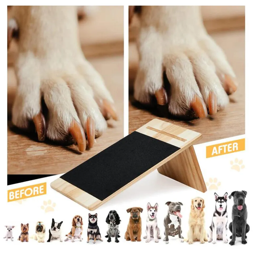 Top more than 170 cat scratch pad nail file latest songngunhatanh.edu.vn