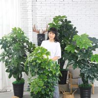 [COD] fortune tree large floor-to-ceiling potted plants plastic fake living room indoor flower decoration green plant bonsai