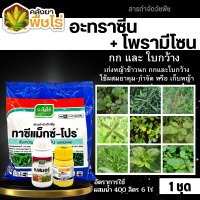 ? คลีโอโปร (โทพรามีโซน+อะทราซีน) 1ชุด สารกำจัดวัชพืช คุมวัชพืช ในข้าวโพด กำจัดหญ้าใบแคบ ใบกว้างในข้าวโพด