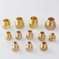 【CW】 Brass Pipe Hex Fitting Quick Coupler Adapter 1/8 1/4 3/8 1/2 M12 M14 M18 Bushing For Pressure Gauge Fuel Water