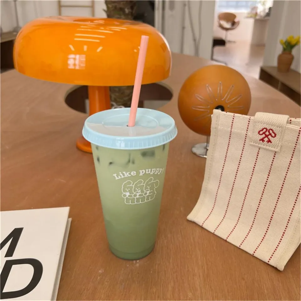 Water Bottle For Coffee Juice Milk Tea Kawaii Plastic Cold Cups With Lid  Straw