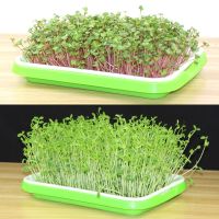 1pc Hydroponic Seedling Tray Double Layer Disc Growing Vegetables on Paper PP Sprouts Planting Tray 34x25x4CM