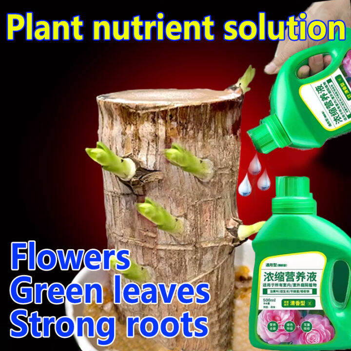 【Plants thrive】Plant growth enhancer 500ML Super growth fertilizer