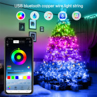 Bluetooth Christmas Light RGB USB Fairy Lights 2M20M Copper Wire Garland LED String Light Christmas Tree Light Decor New Year