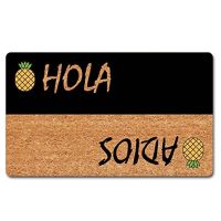 Funny Welcome Rug Anti-Slip Flannel Doormats Hola Adios Cute Pineapple Hello and Bye Doormat Pineapple Hello Rug Funny Quote Fl