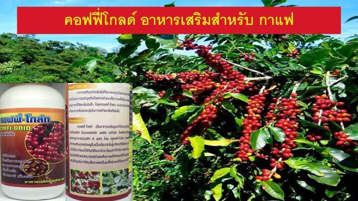 อาหารเสริมพืช-กาแฟ-แคลเซียมโบรอน-ฮอร์โมนพืช-ธาตุอาหารรวม-ปุ๋ยน้ำทางใบปุ๋ยเร่งดอกผลปุ๋ยบำรุงต้นบำรุงใบ