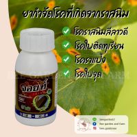 จอยท์ ฟลูไตรอะฟอล 100 มล. ออกฤทธิ์ดูดซึม กำจัดราสนิมในแคคตัส - Beegarden12