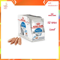 ?จัดส่งฟรี [ยกกล่อง 12 ซอง] Royal Canin Indoor Pouch Loaf อาหารเปียกแมวโต เลี้ยงในบ้านและทำหมัน อายุ 1 ปีขึ้นไป จัดส่งฟรี ✨