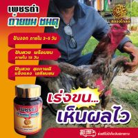 สตองโกลด์ ถ่ายขนชนดุ ผลิตภัณฑ์สำหรับบำรุงขนไก่ บรรจุ 60 เม็ด