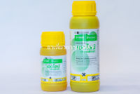 เฮดไลน์ 250 ml. (สารไพราโคลสโตรบิน) โรคใบจุด โรคใบจุดสีม่วง โรคใบไหม้แผลใหญ่ โรคยางไหล โรคแอนแทรคโนส โรคกุ้งแห้งพริก