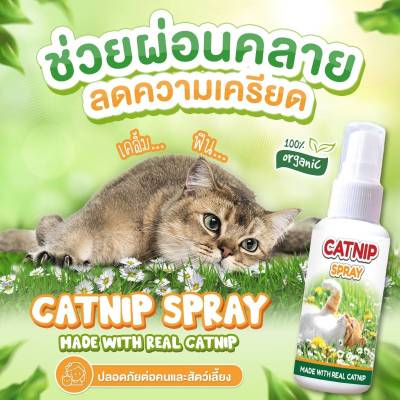 Catnip spray สเปรย์แมว ผ่อนคลายแมว อารมณ์ดี ลดความเครียด ลดความก้าวร้าว ดมแล้วฟิน