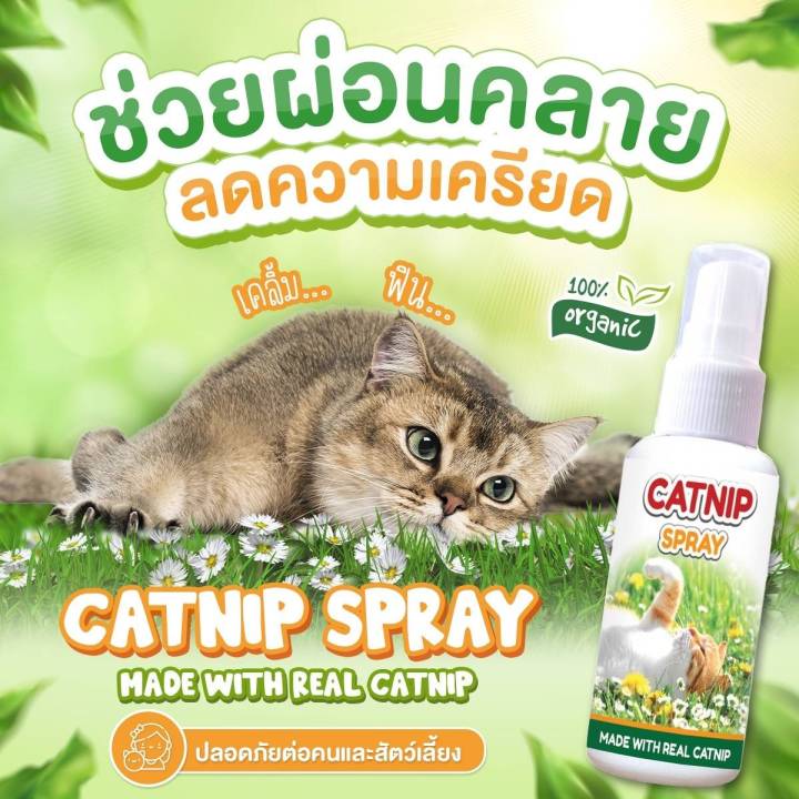 catnip-spray-สเปรย์แมว-ผ่อนคลายแมว-อารมณ์ดี-ลดความเครียด-ลดความก้าวร้าว-ดมแล้วฟิน