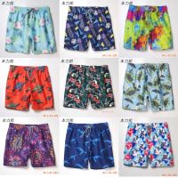 Foreign Trade Original Turtle Vilebrequ Beach Pants Straight Printed Sports Quick-Drying Tide ins Leisure Short Shorts