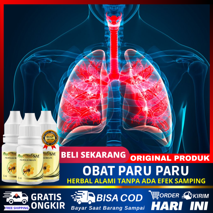 Obat Paru Paru Batuk Berdarah Paru Paru Basah Paru Paru Bocor Gurah Paru Paru Sesak Nafas 6801