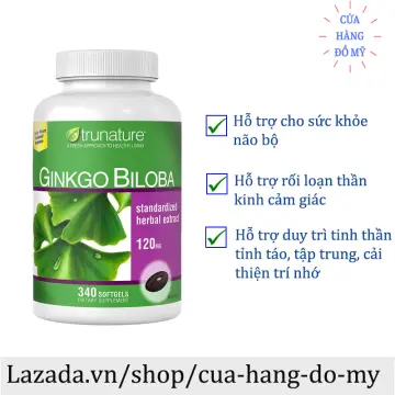Có điều kiện nào không nên sử dụng thuốc Ginkgo biloba 120mg?
