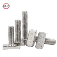 M8 M10 304 Stainless Steel T Shape Scews Bolts Aluminum Profile T Slot Photovoltaic Groove Use Square Head Bolts