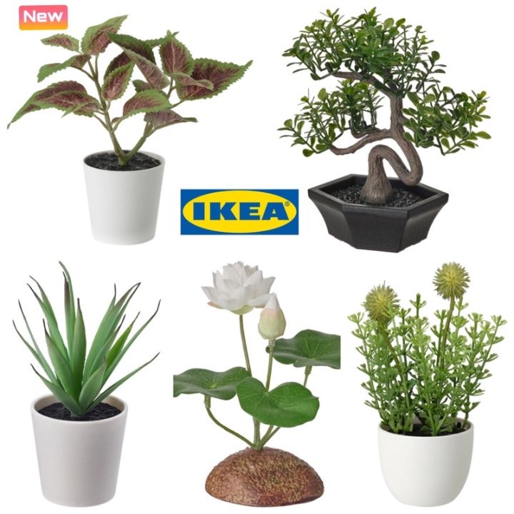 pro-โปรแน่น-ต้นไม้-ต้นไม้ประดิษฐ์-ikea-ต้นไม้ปลอม-ไม้ประดิษฐ์-fejka-artificial-trees-flowers-ต้นไม้ในบ้าน-ปลูกต้นไม้ในบ้าน-ราคาสุดคุ้ม-พรรณ-ไม้-น้ำ-พรรณ-ไม้-ทุก-ชนิด-พรรณ-ไม้-น้ำ-สวยงาม-พรรณ-ไม้-มงคล