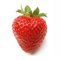 เมล็ดพันธุ์ สตรอเบอร์รี่ แดง สตอเบอรี่ 20 เมล็ด strawberry seeds