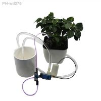 Watering Irrigation System Soil Moisture Detection Water Pump Module Kit Garden Drip Watering DIY Automatic