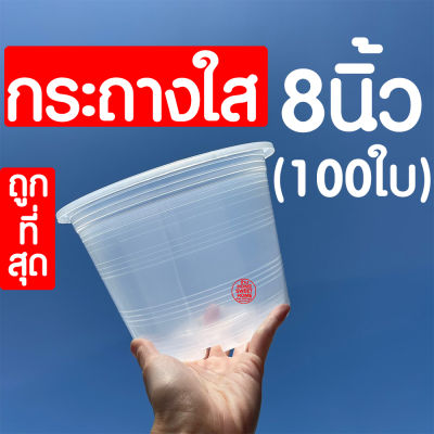 *กระถางใส* กระถางพลาสติกใส (8นิ้ว 100ใบ) กระถางต้นไม้ใส กระถางต้นไม้ กระถางพลาสติก กระถางสีใส กระถางส่องราก กระถางต้นไม้สีใส