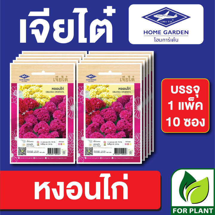 เมล็ดพันธุ์-ดอกไม้-เจียไต๋-ct25-หงอนไก่-บรรจุแพ็คล่ะ-10-ซอง-ราคา-160-บาท