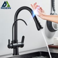 Touch Sensor Filter Water Kitchen Faucet 2 in 1 Black Put out Dual Modes Sprayer Sink Faucets for Kitchen Pure Water Mixer Tap