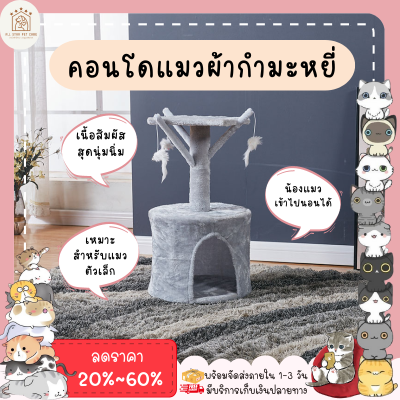 ♥ 𝗮𝗹𝗹𝘀𝘁𝗮𝗿 ♥ คอนโดแมวถูกๆ คอนโดแมว 1ชั้น ที่ลับเล็บแมว cat บ้านแมว ของเล่นแมว บ้านแมวมินิ ที่ฝนเล็บแมว ผ้ากำมะหยี่ พร้อมส่ง✅