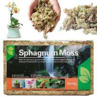 1Pack Natural Sphagnum Compressed Water Moss Orchid Sphagnum Moss Dried For Gardening Plants Help With Maintain Humidity Artificial Flowers  Plants