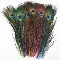 10Pcs/lot Natural Dyed Peacock Feathers for Crafts Peacock Decor 25-30cm Peacock Feather Decor Plumas Carnaval Plume Decoration