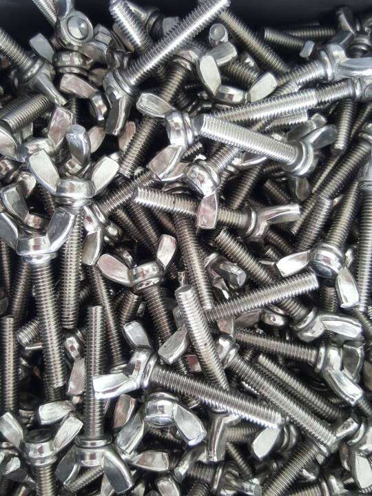 สกรูปีกผีเสื้อ-stainless-m8x45-mm-pitch-1-25-mm