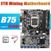 B75 ETH Mining Motherboard 12 PCIE to USB Adapter+G550 CPU+SATA Cable LGA1155 DDR3 MSATA B75 USB BTC Miner Motherboard