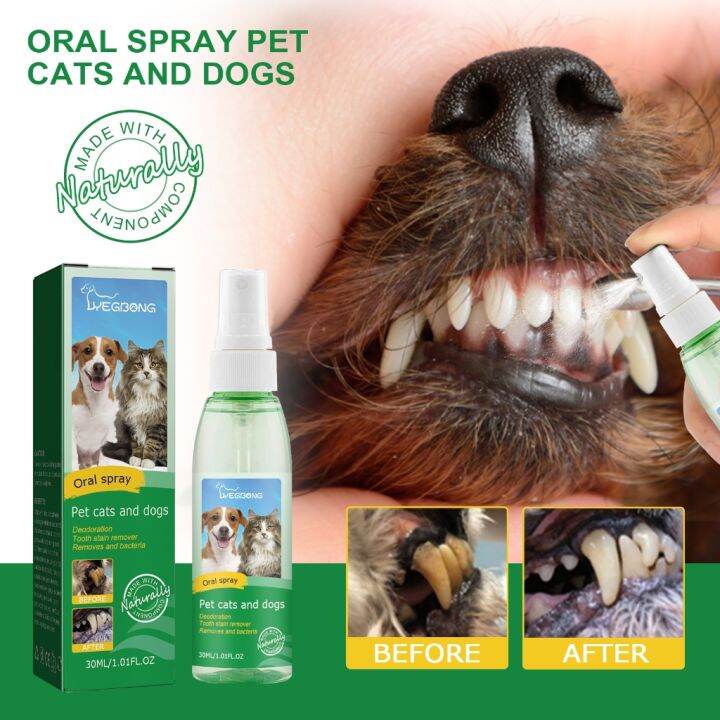 Authentic Guarantee Pet teeth cleaner spray Mouth for bad breath Dog