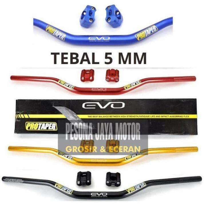 Protaper Evo Stang Atau Stir Fatbar 5 Mili Set Raiser Riser Type Low