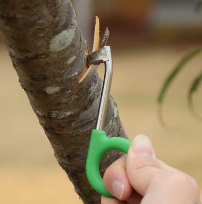 【YF】 Garden Pruner Ring Barking Cutter Scissors Fruit Tree Grape Girdling Rings Tool Cutting Blade Pruning Hand Tools