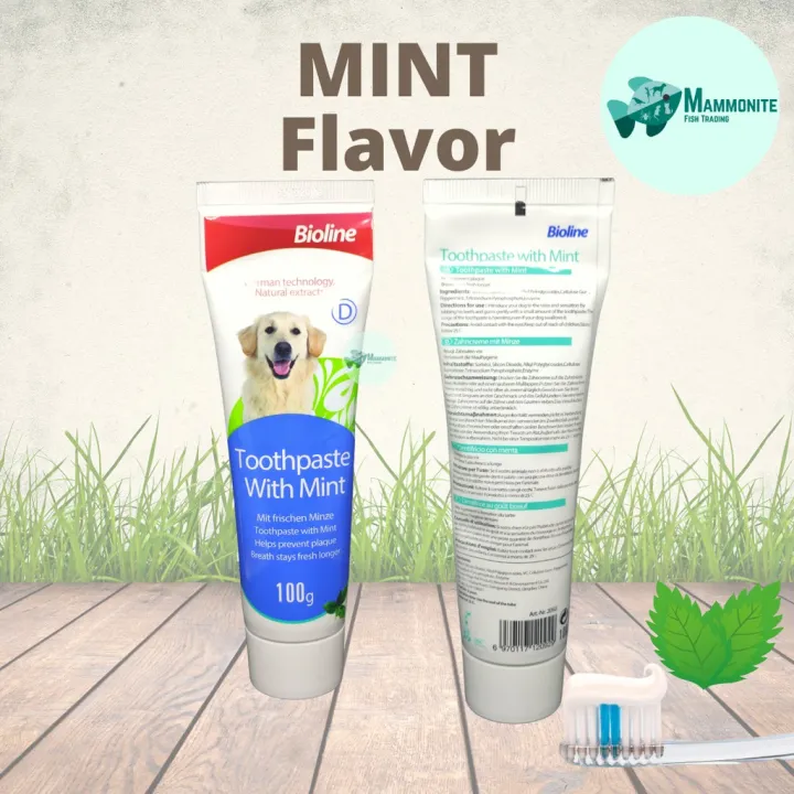 Bioline Pet Toothpaste 100 Grams Flavored Mint Beef Orange Lazada PH
