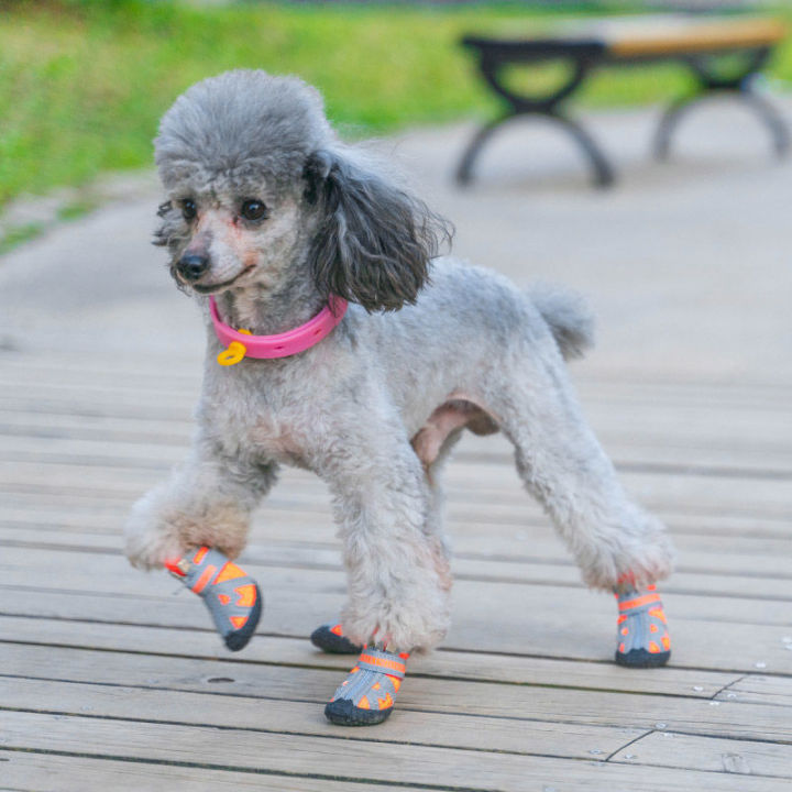 2023-รองเท้าสุนัขสี่ฤดูรองเท้า-bichou-รองเท้าสุนัขขนาดเล็กกันลื่นรองเท้าสุนัขเท็ดดี้ระบายอากาศรองเท้าลูกสุนัขฤดูร้อน